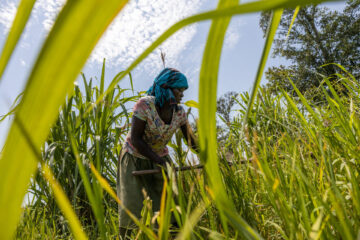 Woman working in a field.