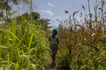 Woman walking in a field.